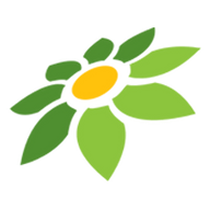 DEWAHOKI99